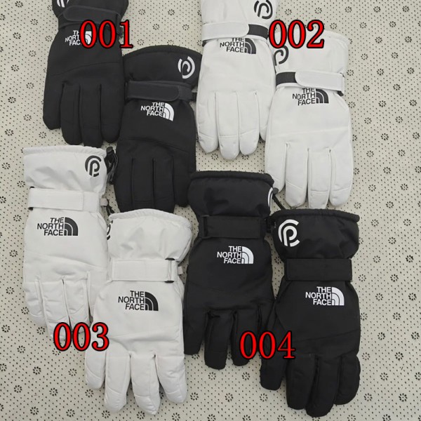 The North Face/ザノースフェイス 防寒手袋 グローブ 冬 裏起毛 保温 防風 防撥水 タッチパネル対応 自転車 登山 サイクリング スキー スノボー スケート バイク メンズ レーディス