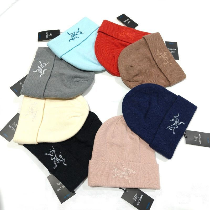 ARC'TERYXビーニー秋冬