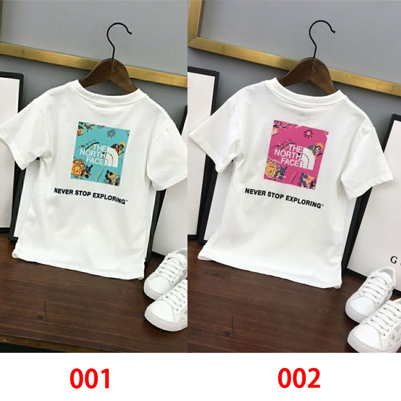 ザノースフェイス半袖tシャツ
